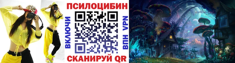 Псилоцибиновые грибы MAGIC MUSHROOMS  Купить закладки  Вилючинск 